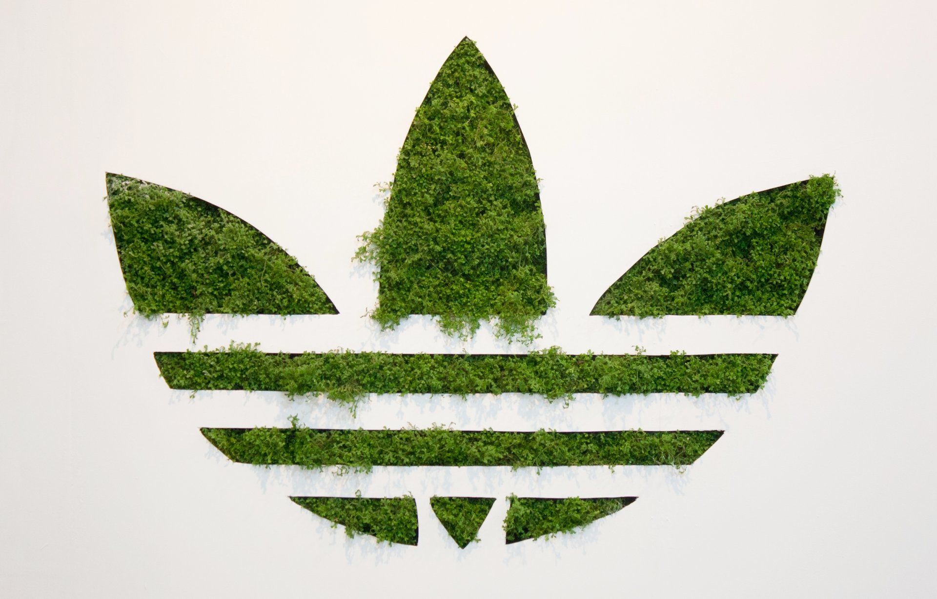 adidas adidas oryginały logo tło trawa