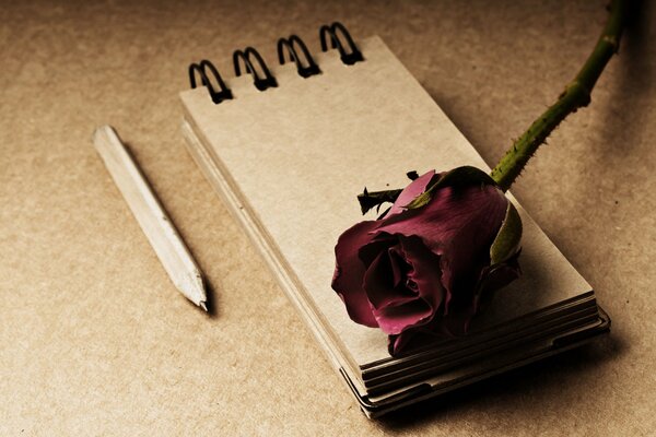 Widescreen wallpaper with flower and notepad