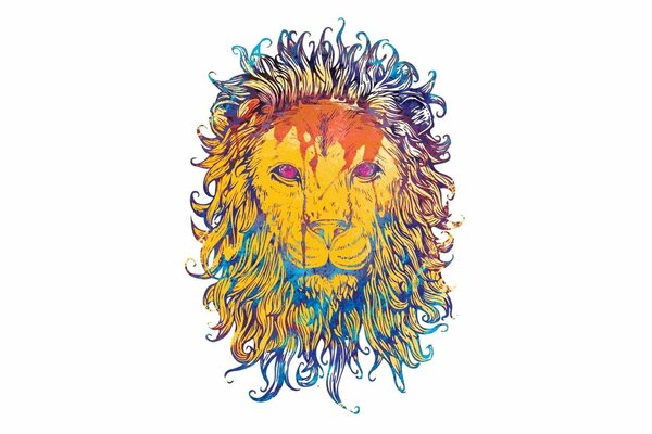 Colored lion s head on a white background