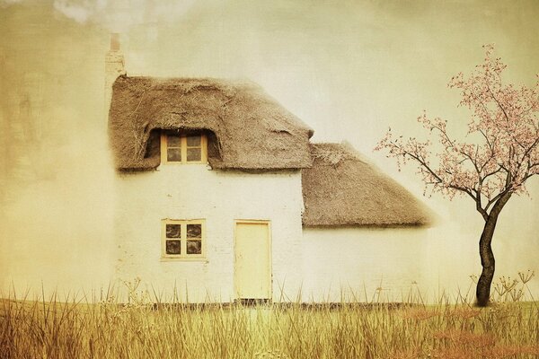 Ein kleines Haus am Rande. Sakura