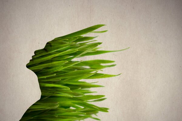 Silhouette d une jeune fille dans un format d herbe verte