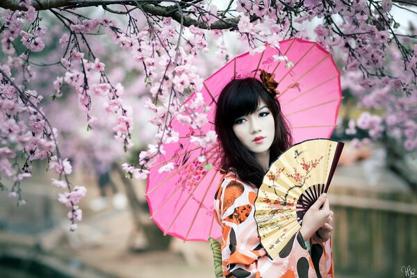 Asia fan Sakura ombrello