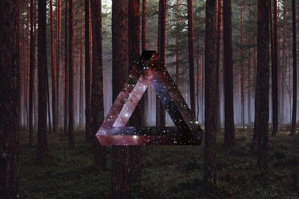 Mysterious forest with a starry triangle