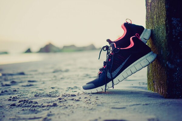 Fotos von Frauen Turnschuhe am Strand