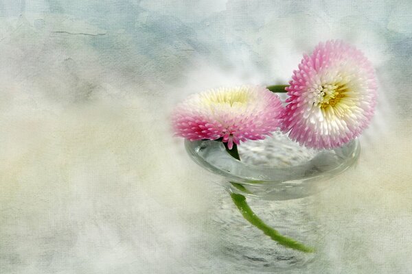 Pink delicate flowers in a glass vase