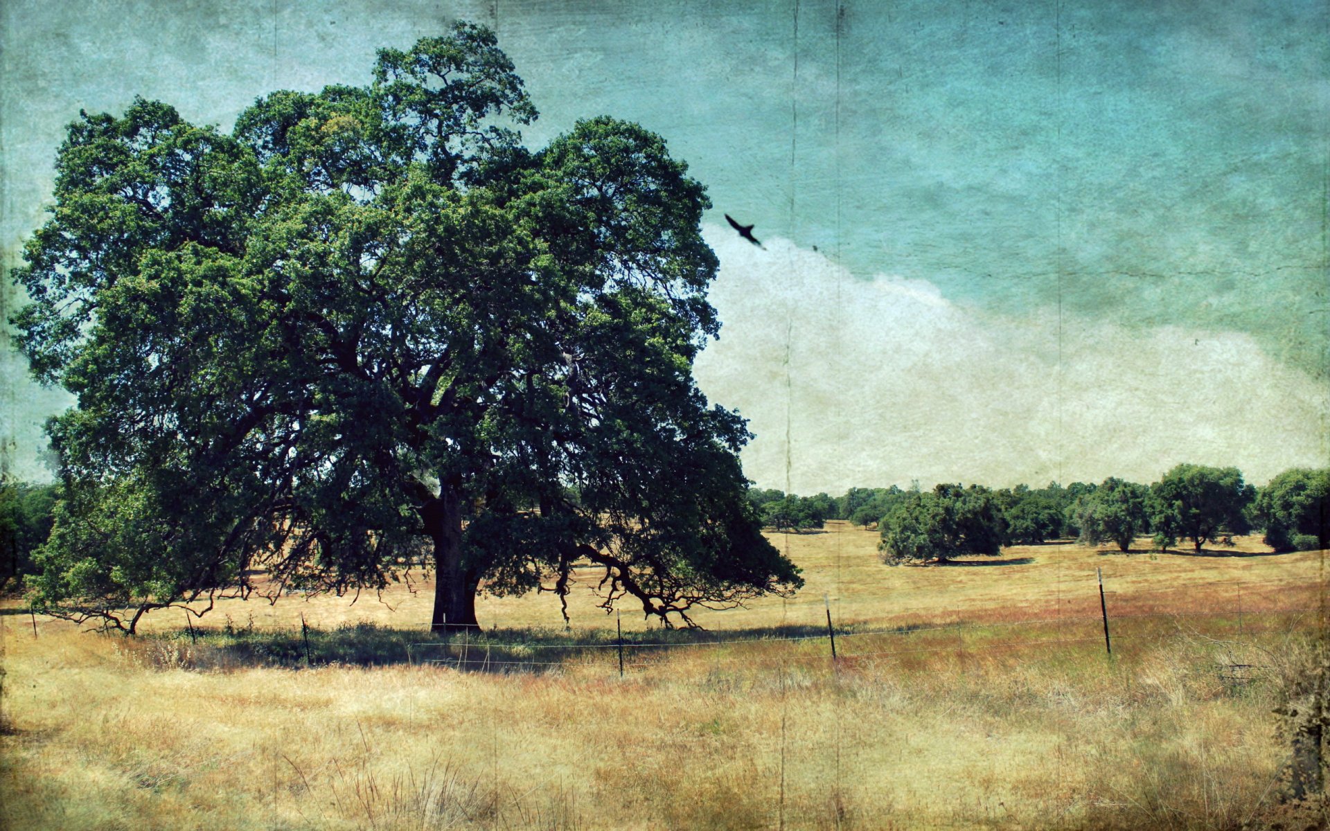 albero paesaggio sfondo stile