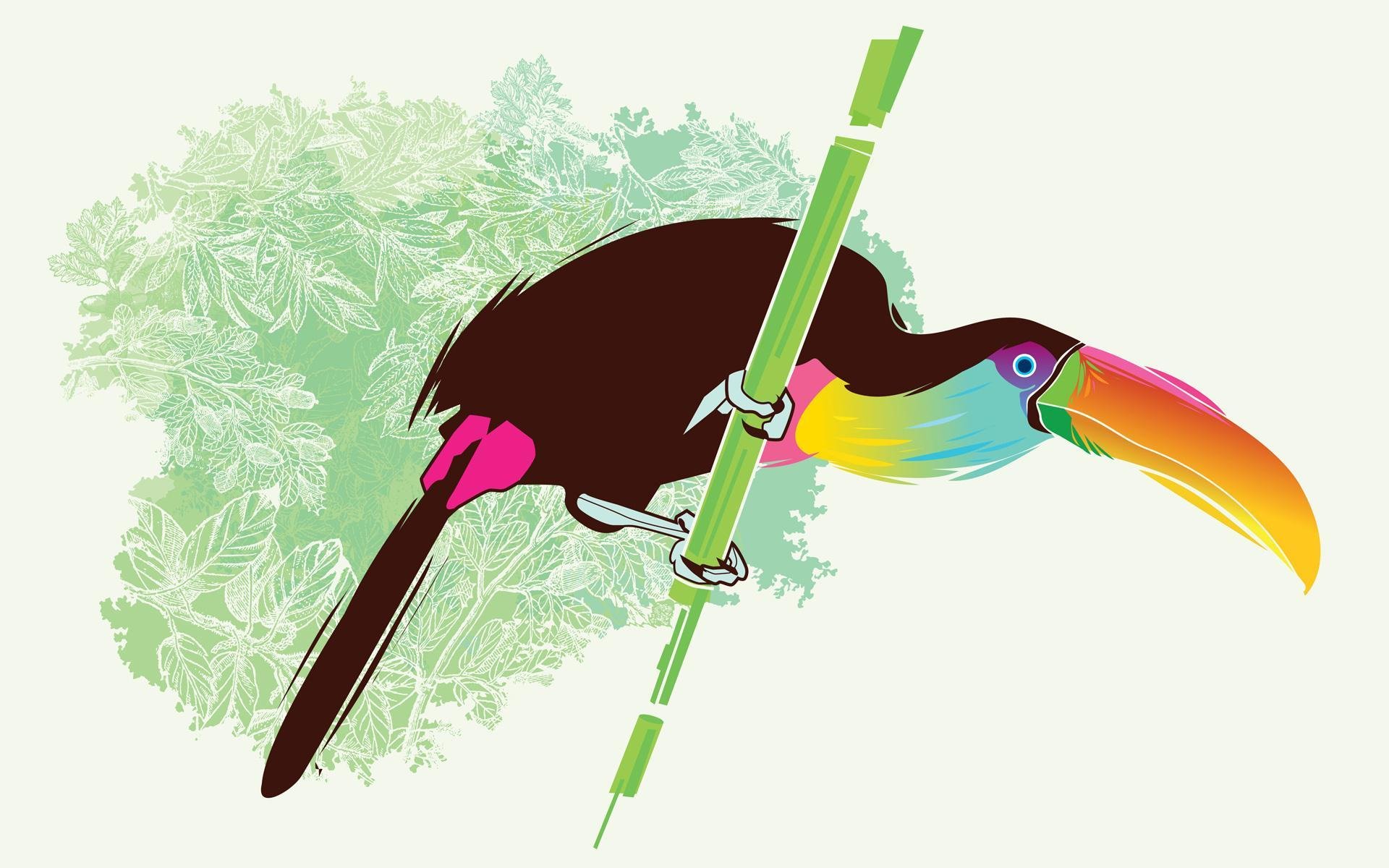 toucan poultry flowers vector