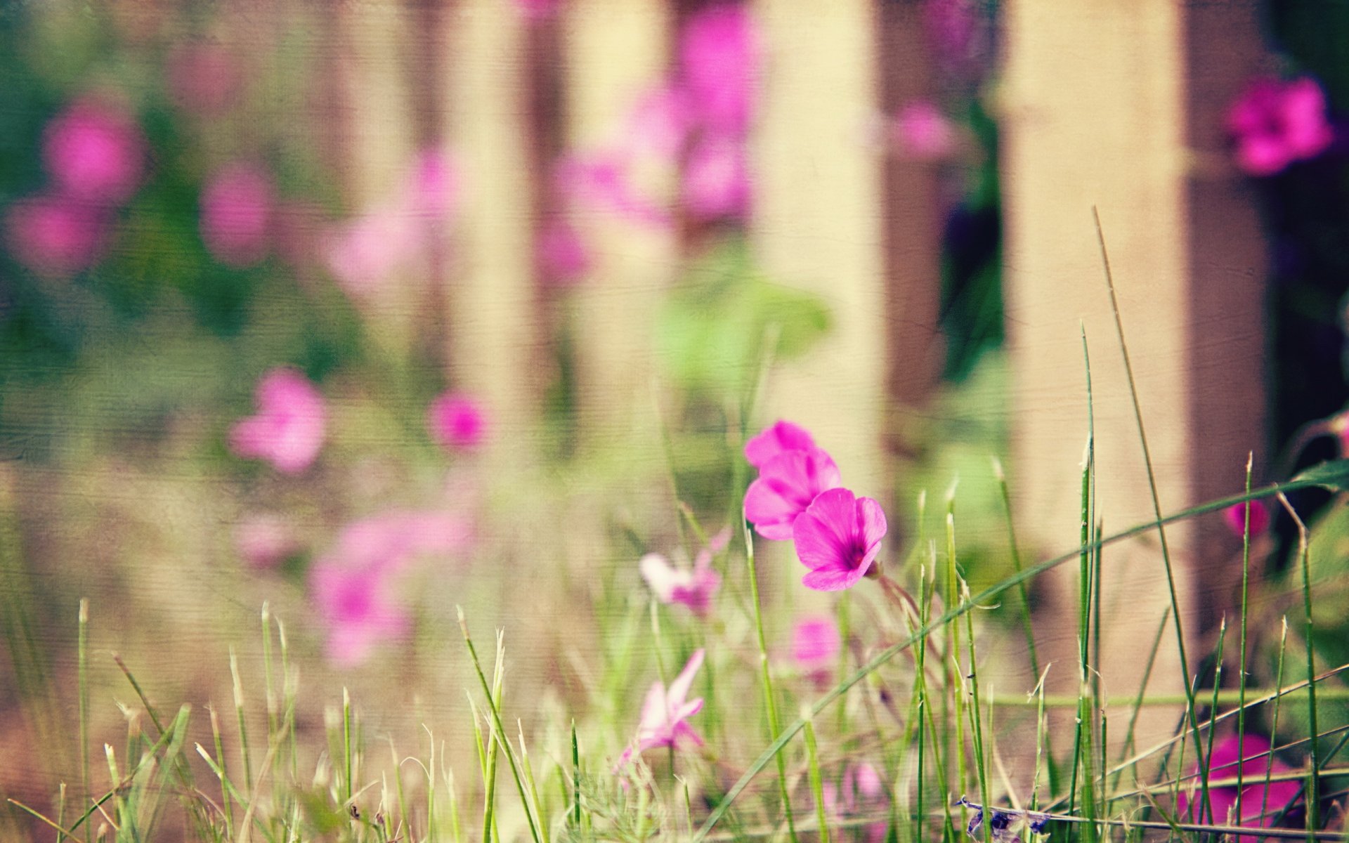 flower fence background style