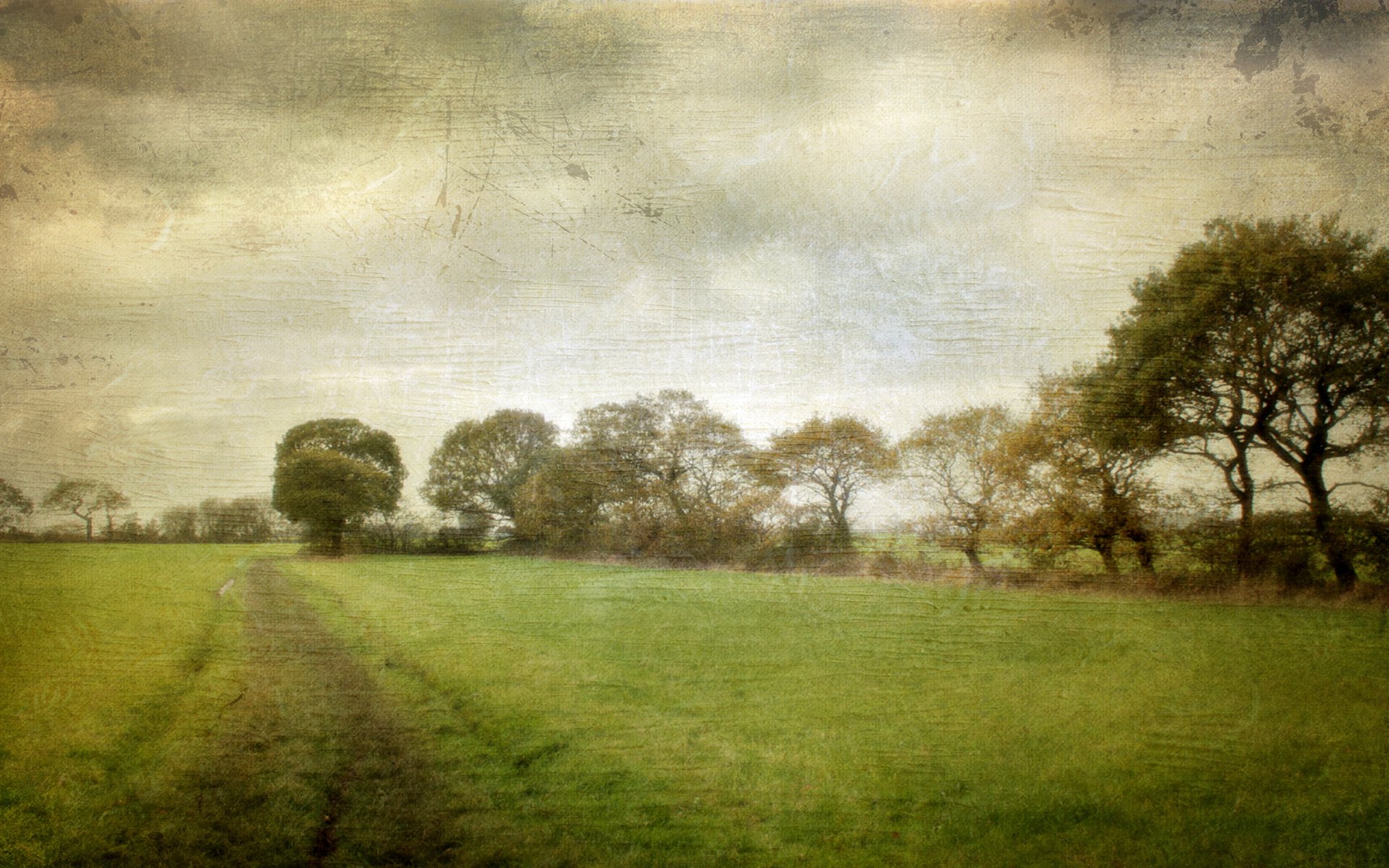 road nature background textures style