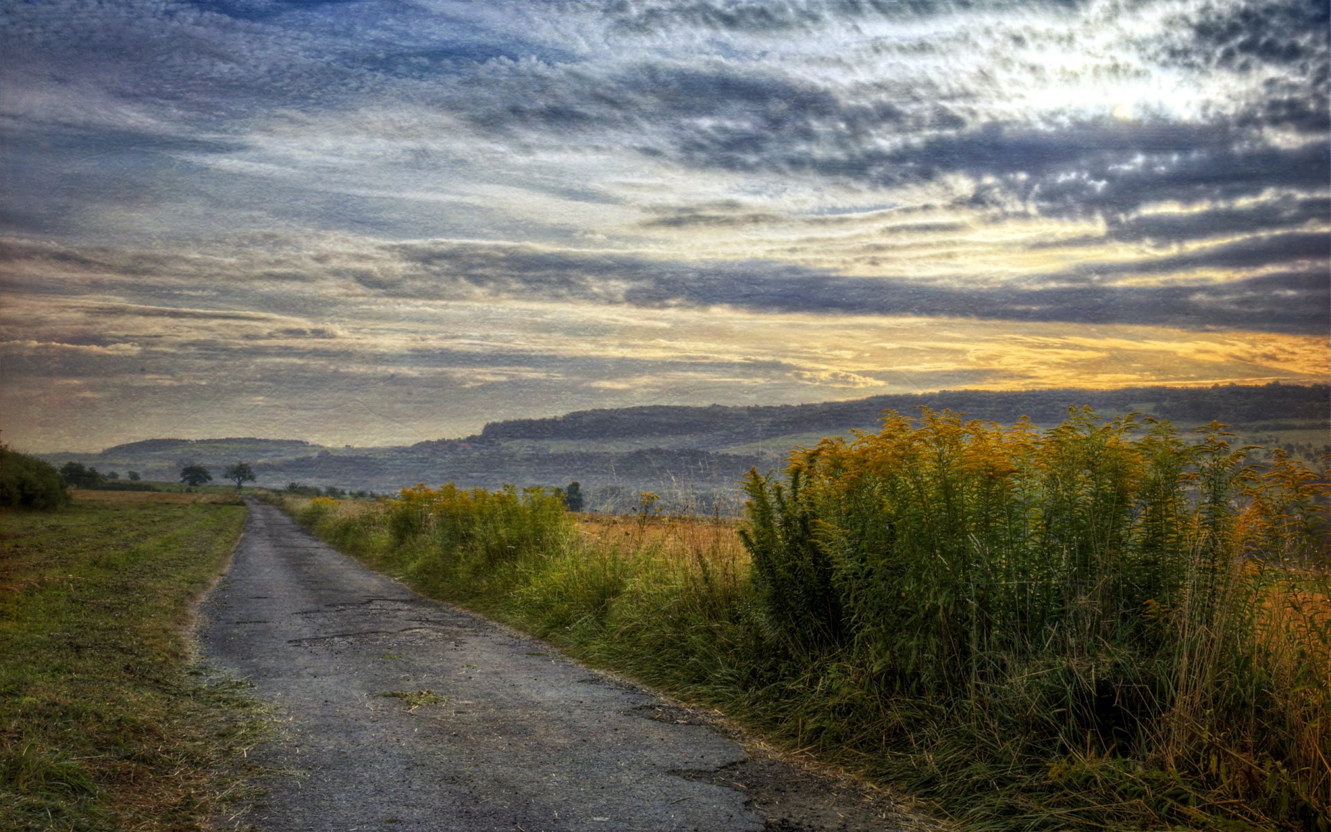 route coucher de soleil champ paysage style