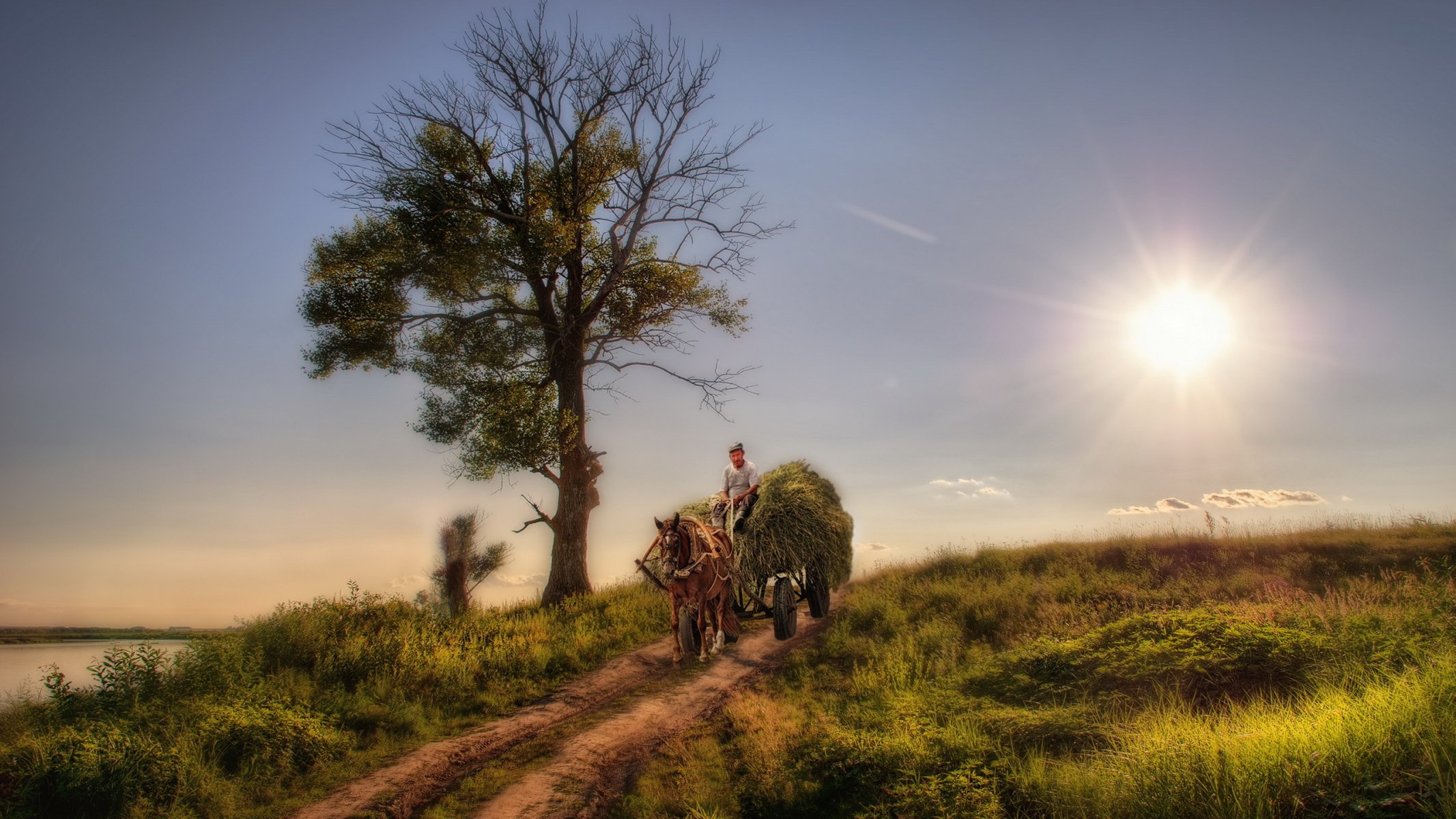 paesaggio carro cavalli stile bellezza