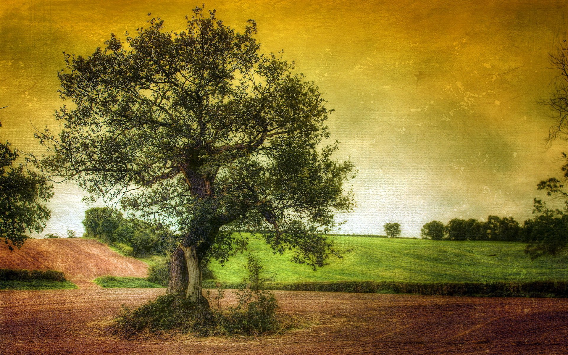 albero paesaggio sfondo stile