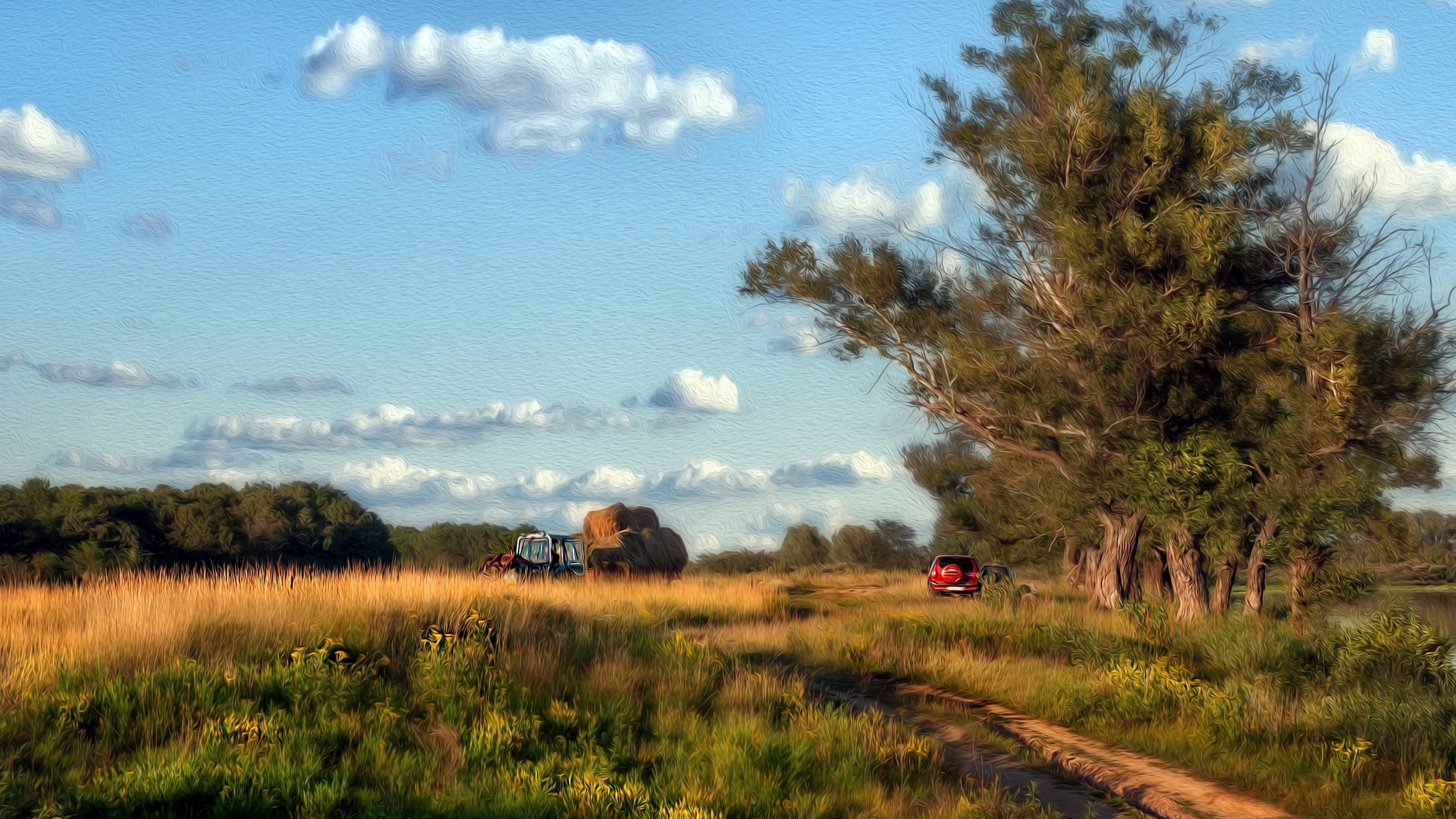 paysage fond été style