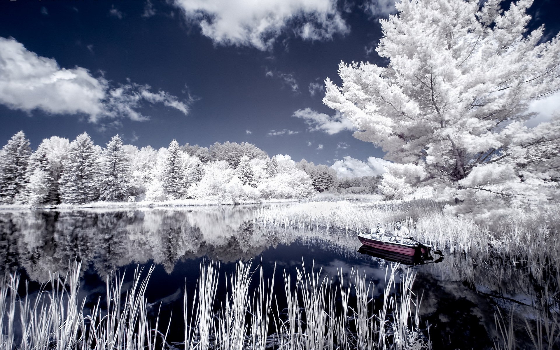 see boot natur landschaft farbe stil