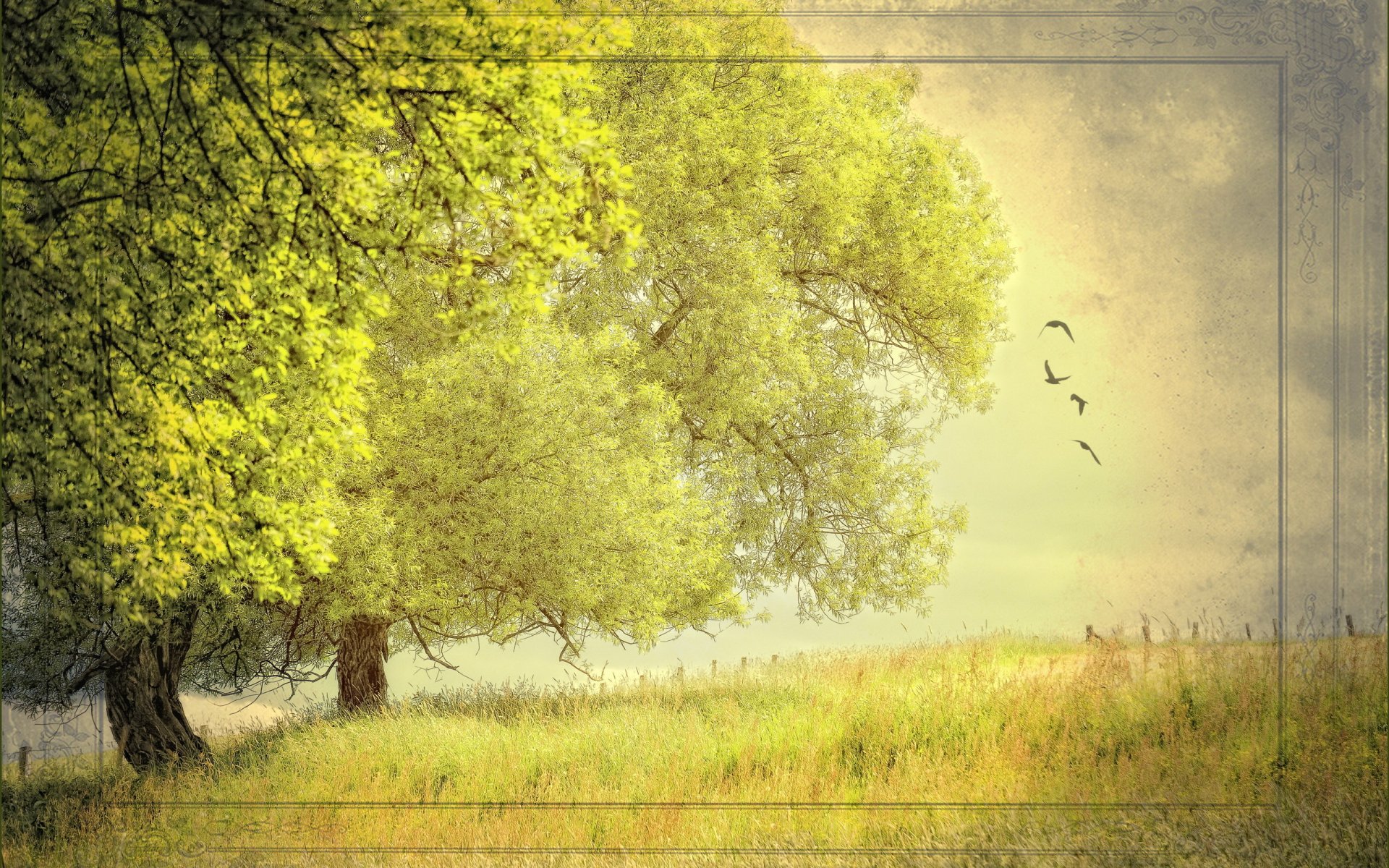 nature tree summer background style