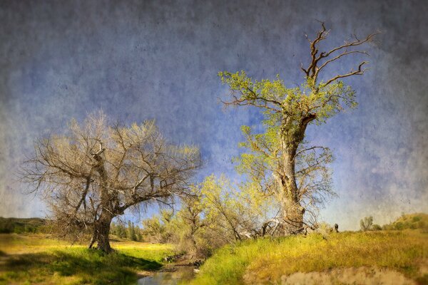 Landschaft. Bach, Bäume und sonniges Wetter