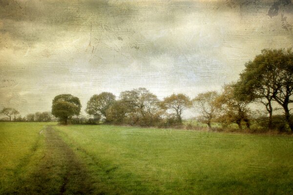 Old Katrina roads and forests