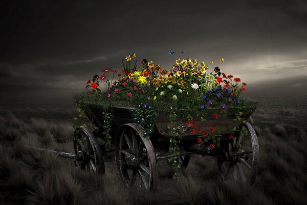 Carrello con erba verde e fiori luminosi che crescono su di esso contro il cielo notturno illuminato dalla luce della Luna