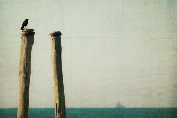 Two pillars on the background of the sea and a bird is sitting on them