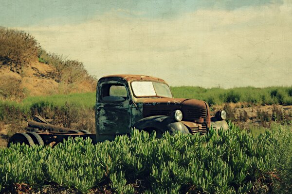 Máquina en el campo. Coche viejo