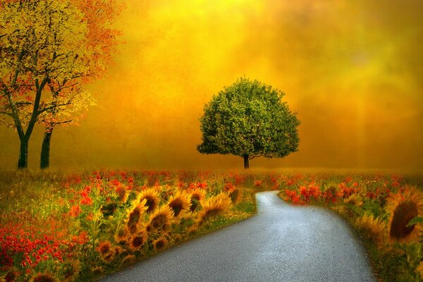 Strada che attraversa un campo con fiori e girasoli