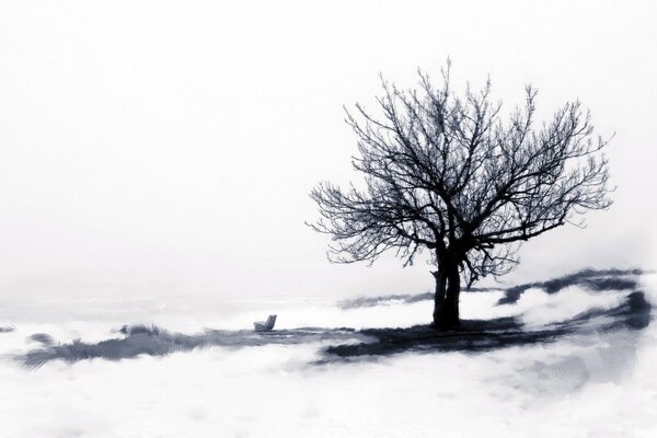 A black tree on a background of snow