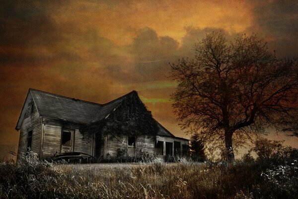 A dilapidated house without windows and a tree with bare branches against the background of the evening autumn sky