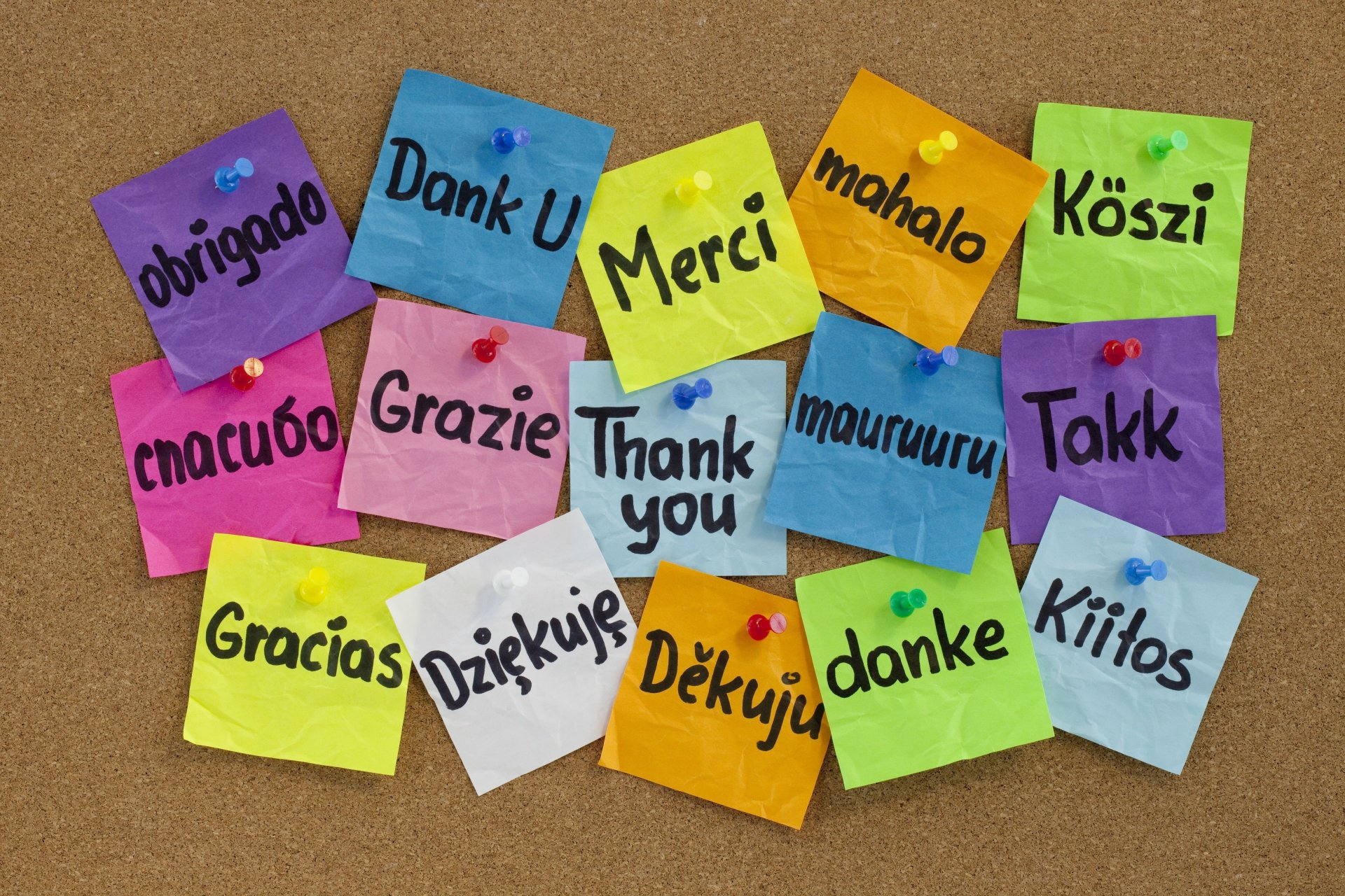 thank you the set languages board buttons colored sticker