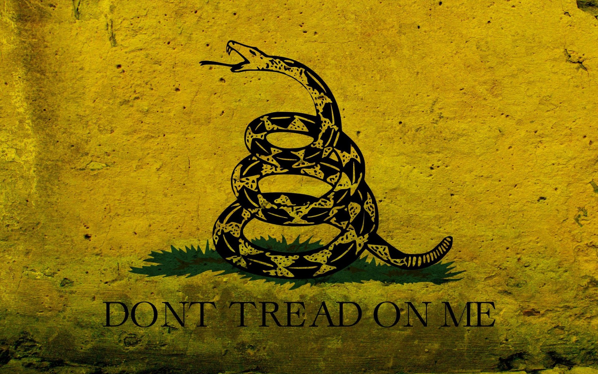 flag snake picture graphic