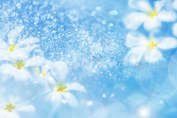 Flowers and drops with highlights on a blue background