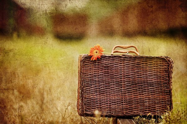 Wicker suitcase on a beautiful background