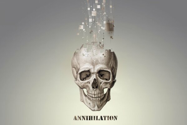 Annihilation Pixel du crâne humain