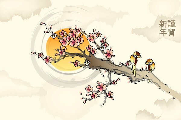 Sakura branch, spring, birds, sun