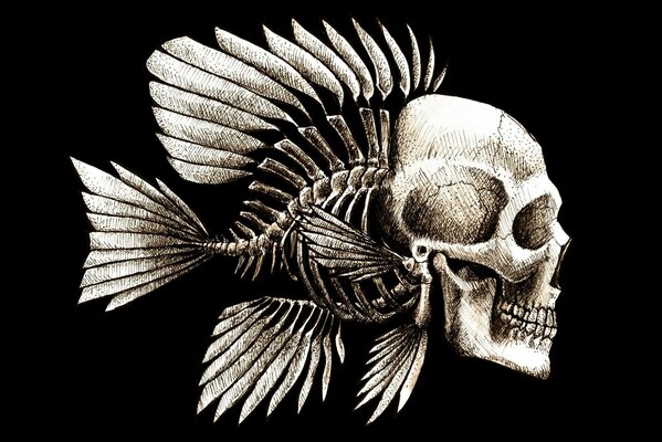 The skeleton of a fish with a human skull