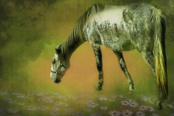 Cavallo stilizzato al pascolo nel prato