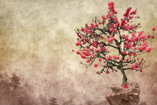 A tree with red petals on a stone