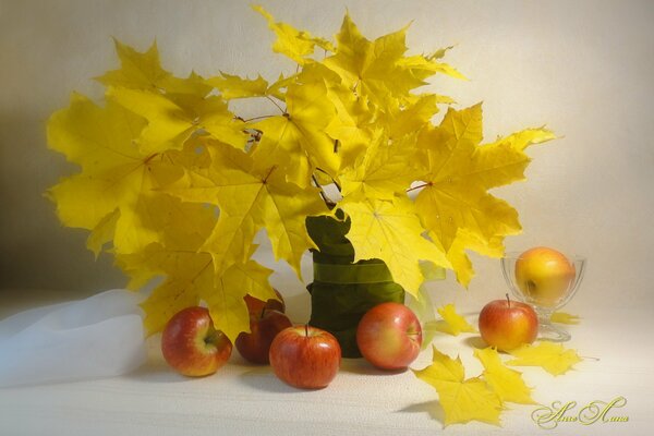 Still life with leaves in a vase and apples