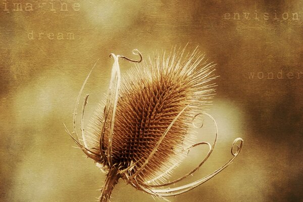 Goldene Blume auf einem schönen Hintergrund