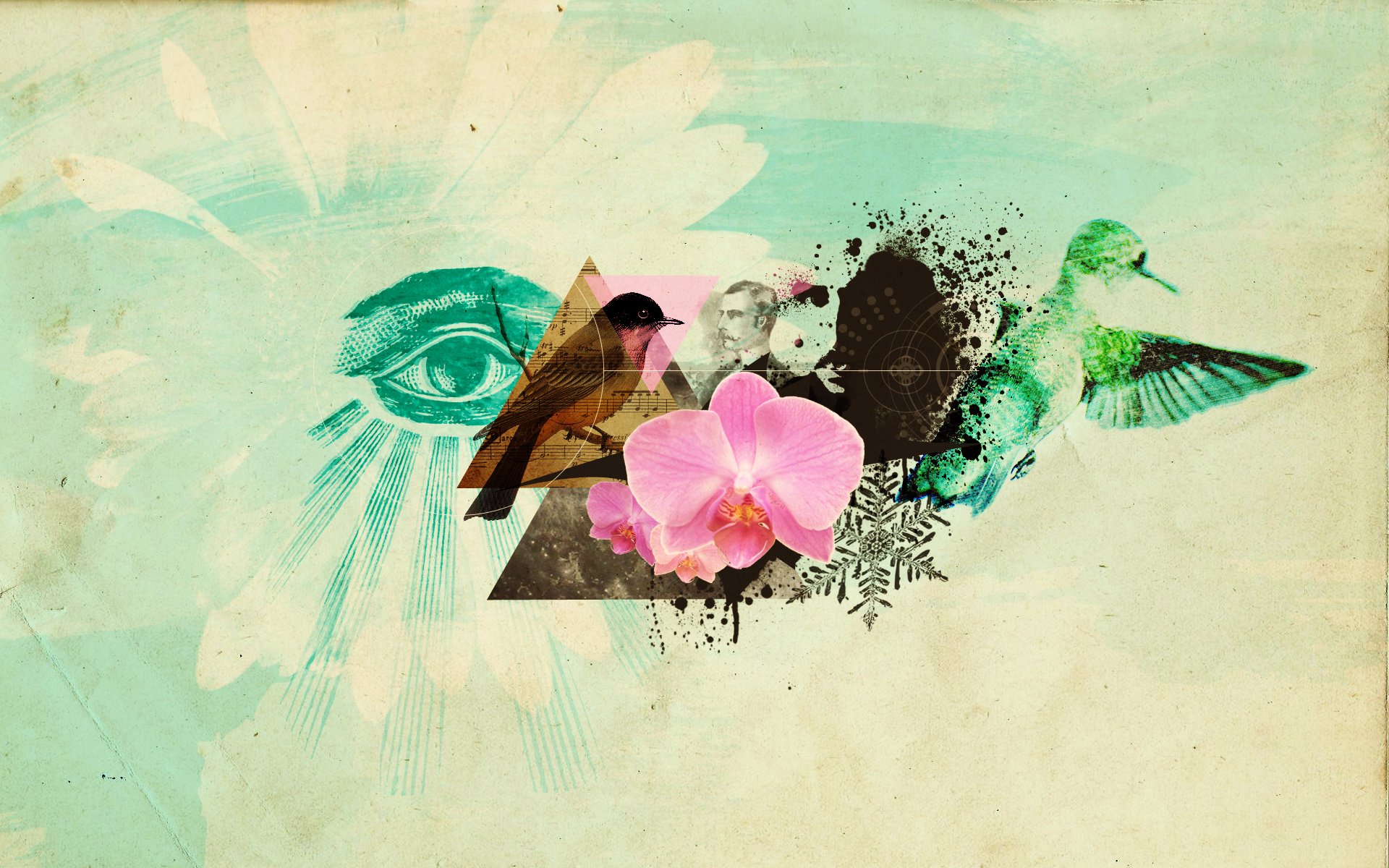 abr collage oeil fleur oiseaux