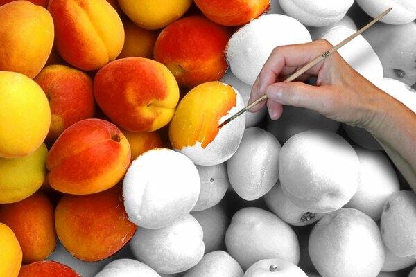 Pêches-analogie de la vie, peut être coloré et lumineux, et peut-être noir et blanc. Brosse dans vos mains