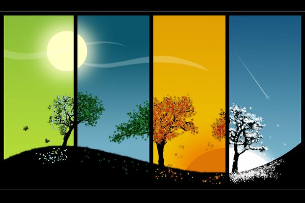 The sun and trees according to the seasons. Change of seasons