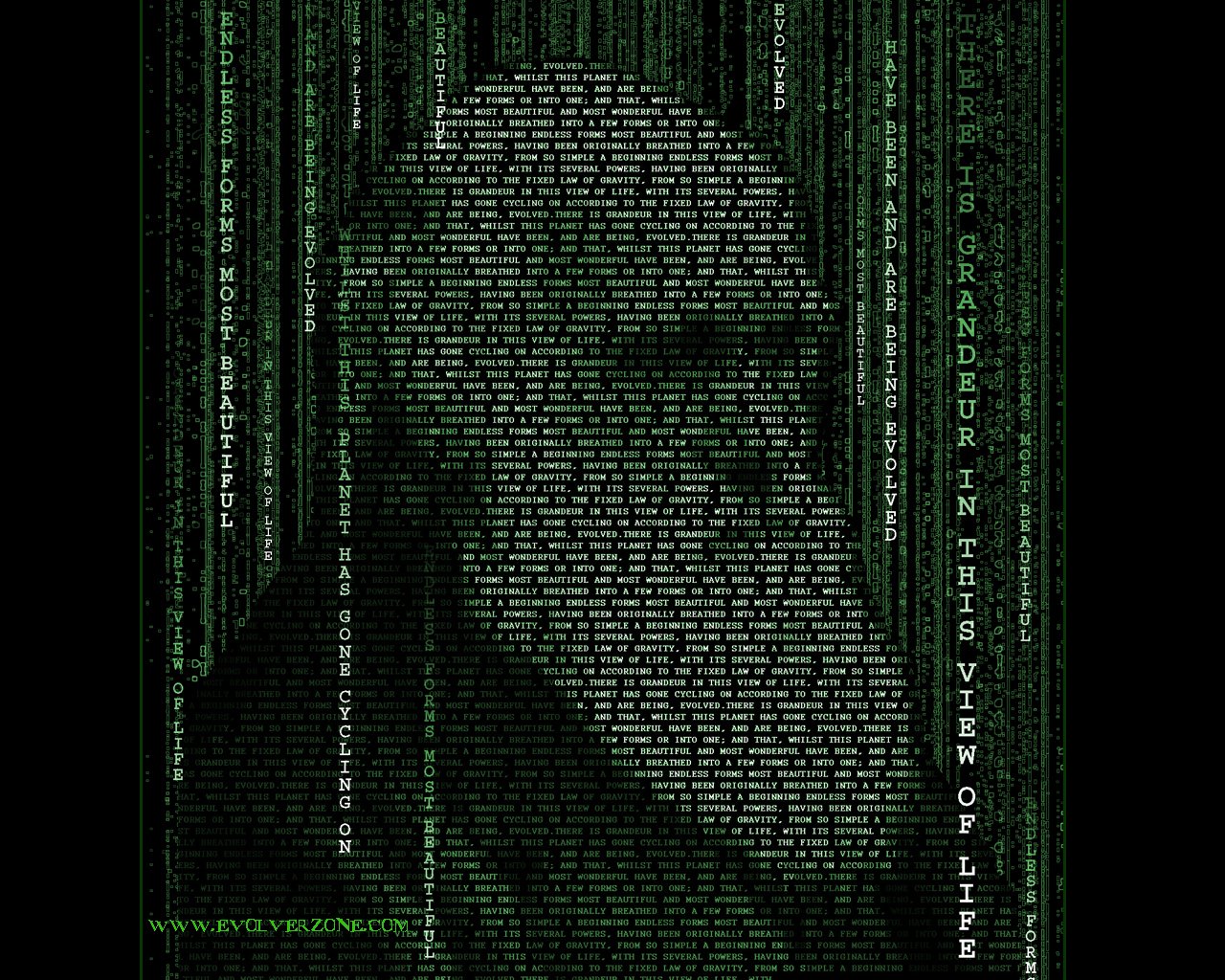 darwin matrix typography