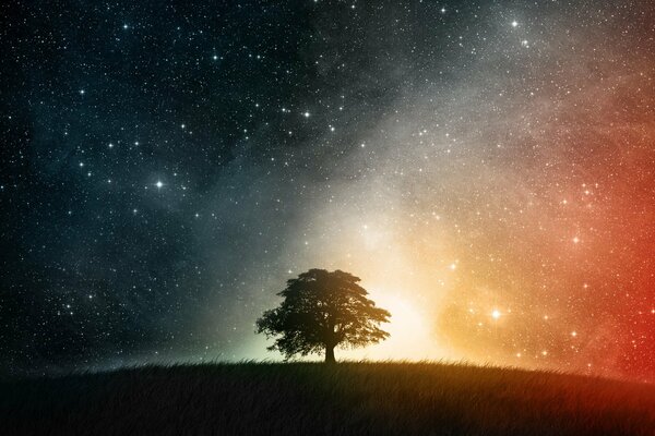 A tree on a hill in the night sky