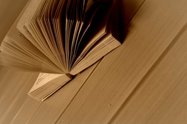 An open book on the background of a wooden floor