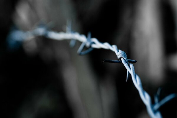 Desktop barbed wire desktop wallpaper