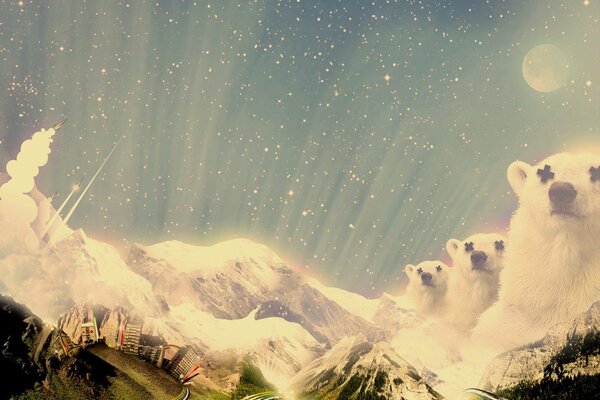 Collage of polar bears in the mountains with a starry sky