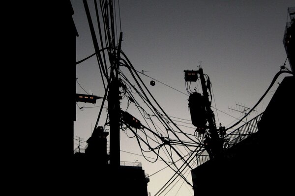 Wires. Street style. Black and white photo