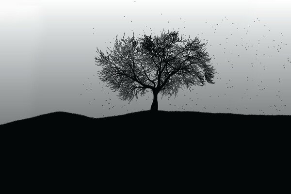 A tree on a black and white background