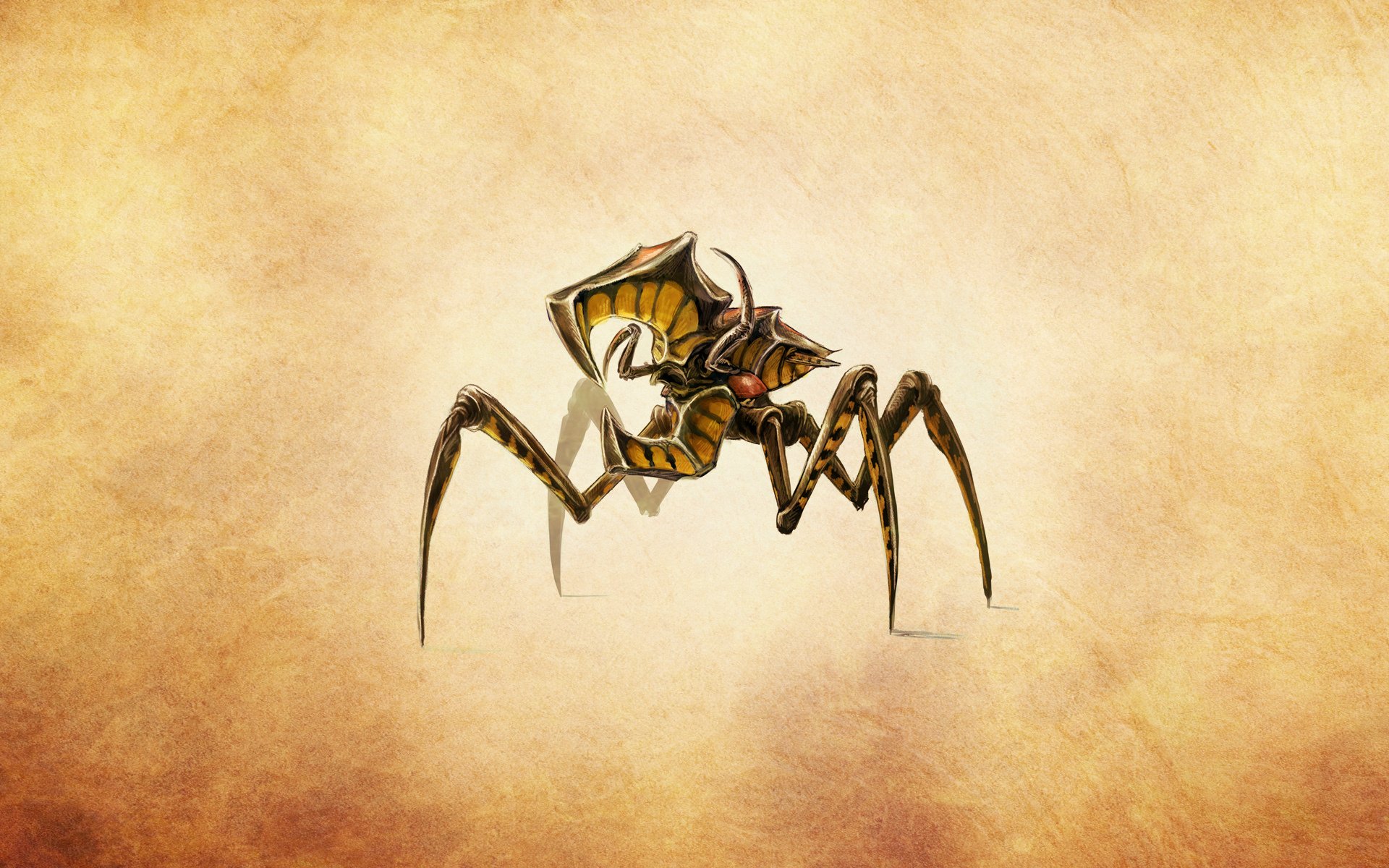 scarabeo aracnide arachnid starship troopers scarafaggio dal film