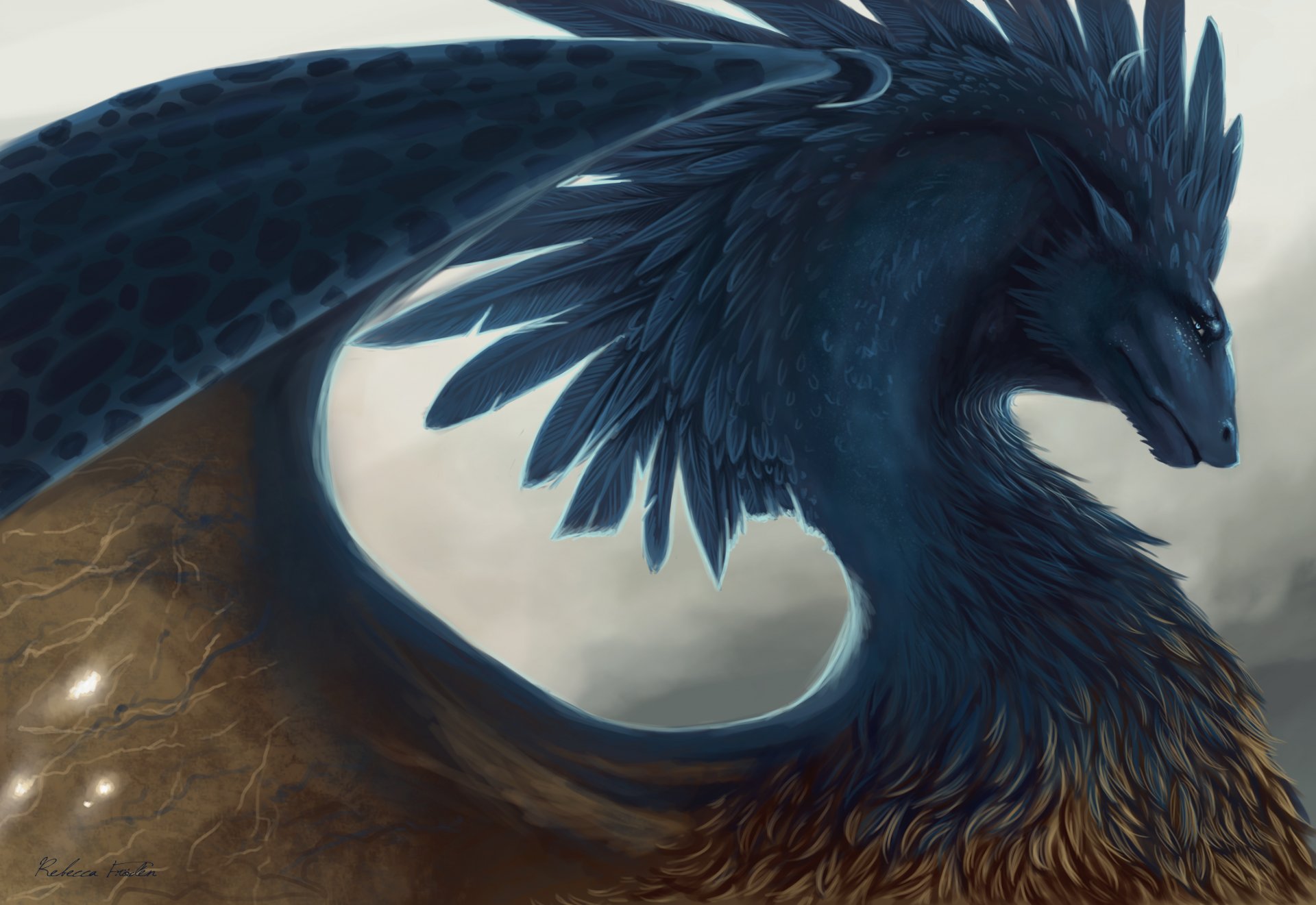 art eragon dragon feathers fantasy